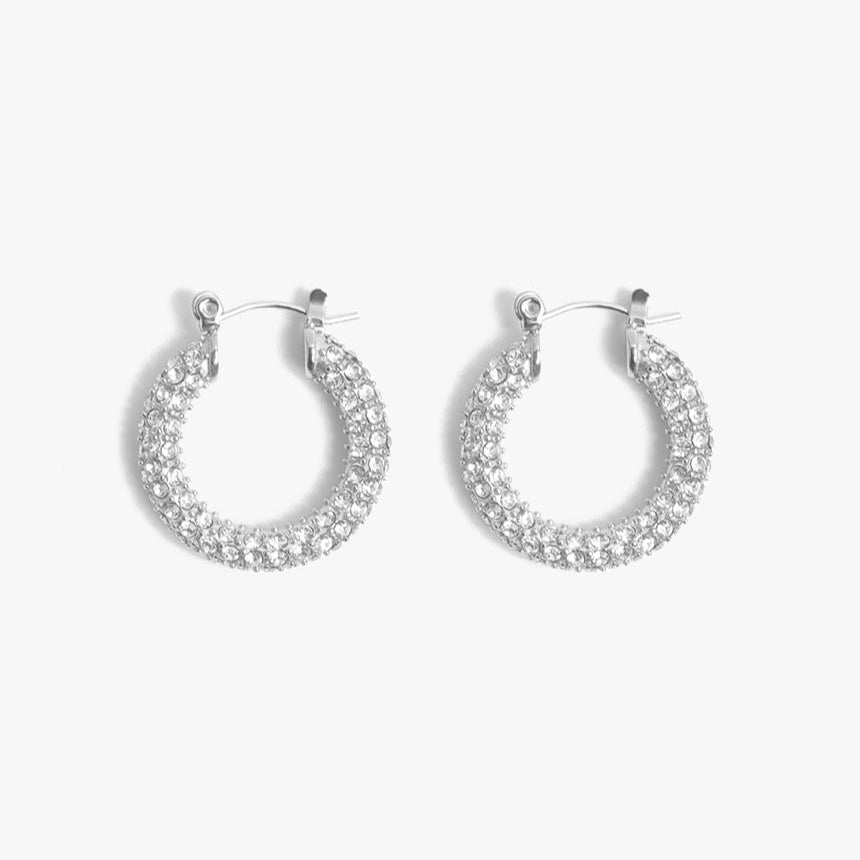 A silver pair of hoop earrings.
