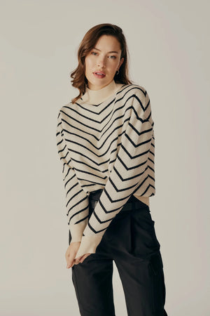 STRIPED TURTLENECK SWEATER