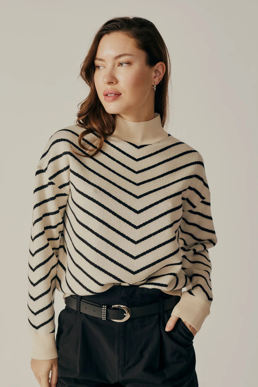 STRIPED TURTLENECK SWEATER