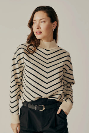 STRIPED TURTLENECK SWEATER