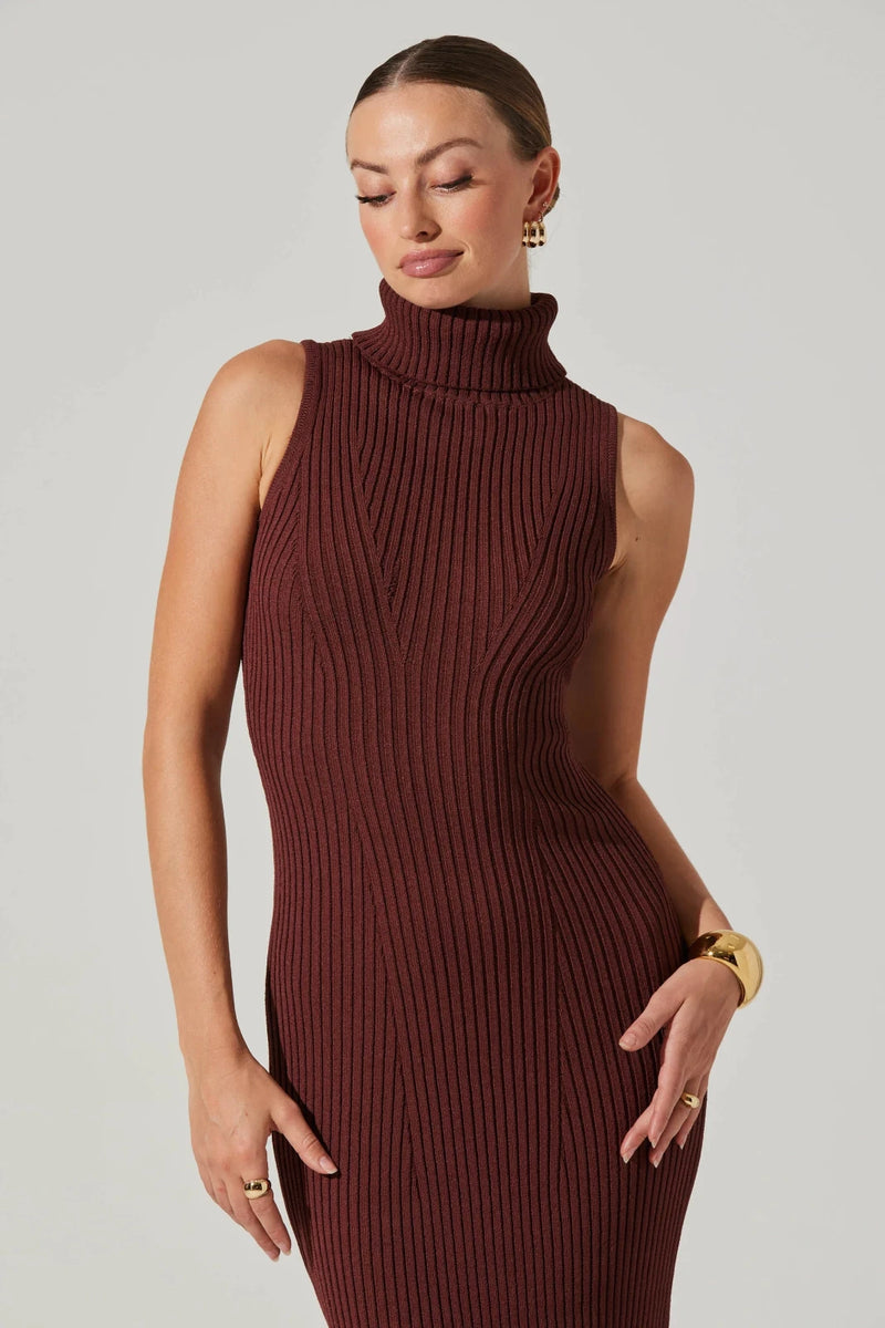 TURTLENECK SWEATER DRESS