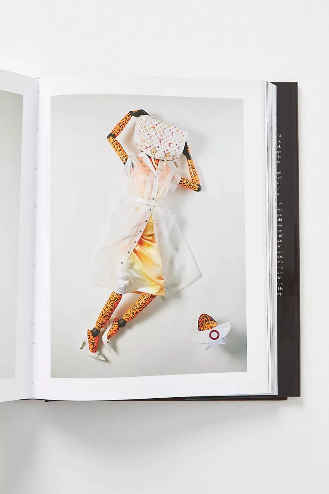 Louis Vuitton The Birth of Modern Luxury Book, 2005 at 1stDibs